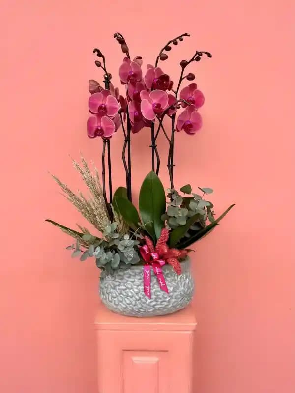 Orkide Çeşitleri ve Dekorasyonda Kullanım Önerileri: Bakım ve Dekorasyon İpuçları