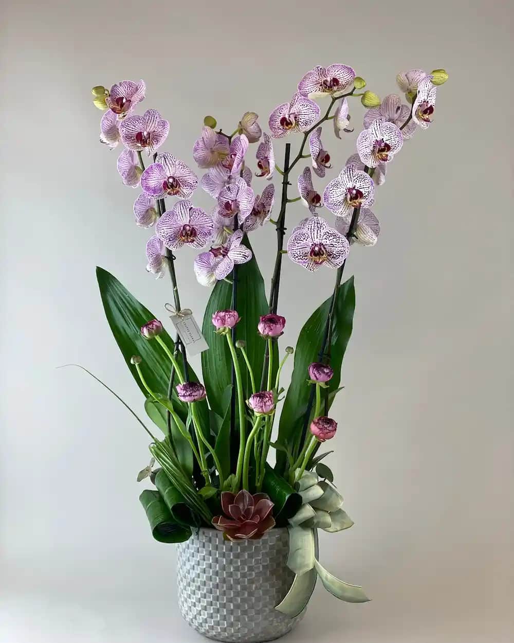 Orkide Dekorasyonunda Zarafet ve Doğallığın Şık Kullanımı