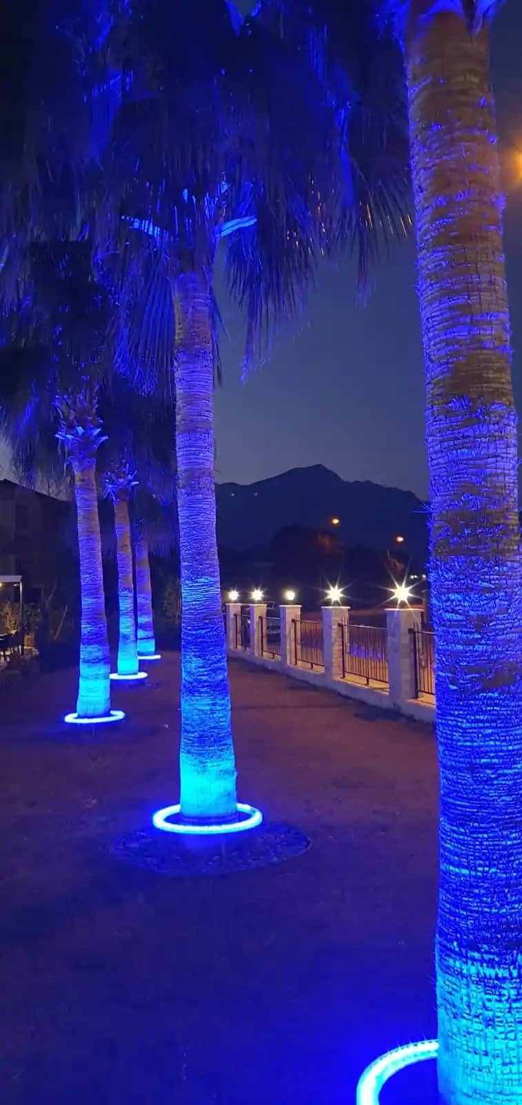 Palmiye Aydınlatma ile Dekorasyonunuzu Modern ve Tropikal Bir Atmosfere Dönüştürün