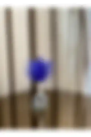 Housess1 Mavi Tüylü Gümüş Kristal Top Dekor Biblo: Modern Tasarım