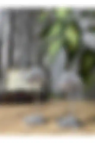 Şık MİGASAN2 Flamingo Gümüş Renk Dekor Obje Seti ile Modern Mekanınızı Güzelleştirin
