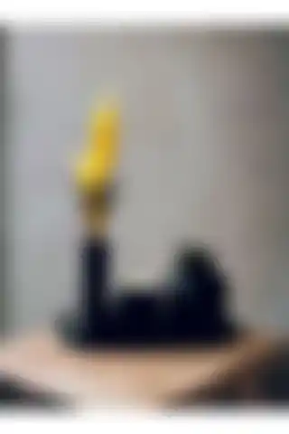 Stonnish Hediyelik Tabaklı Mini Vazolu Bubble Sukulent ve Mumluk Dekoratif Set