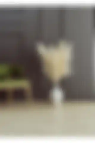 F&F HOME Seramik Vazo ve Pampas Seti: Estetik ve Fonksiyonel Tasarım