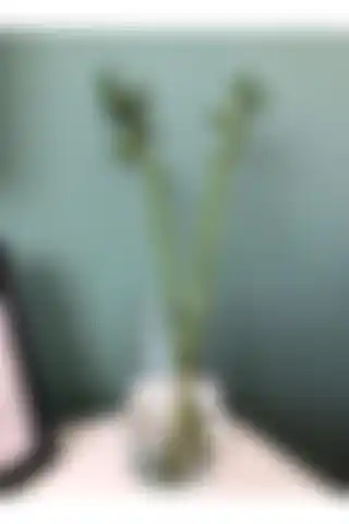 Nova Elite 2 Adet Dekoratif Cam Vazo ile Şık ve İşlevsel Ev Dekorasyonu