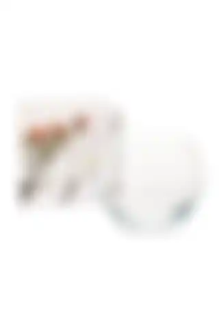 Paşabahçe 43417 Botanica Küçük Boy Vazo Fanus; Estetik ve Kullanışlı