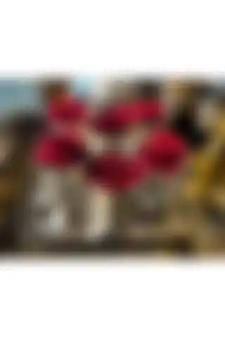 PONCİKPAZAR Gül Kovası: Şık ve Kullanışlı Ev Dekorasyonu Ürünü