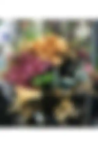 Vazo Atlı: Modern Tasarımla Dayanıklılığın Mükemmel Uyumu