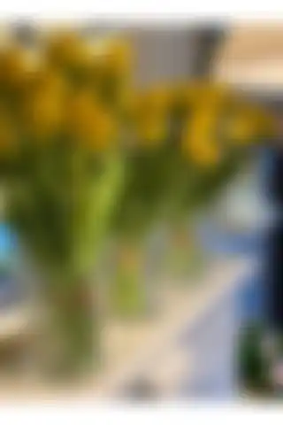 Dekordan House Kristal Vazo ile Ev Dekorasyonunuza Şıklık Katın