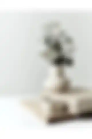 Muffag Camber Dekoratif Vazo ile Şık ve Minimalist Bir Atmosfer Yaratın