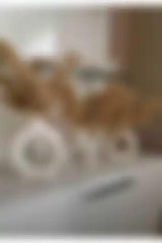 Ucanlight İskandinav 2'li Halka Vazo Seti ile Modern Ev Dekorasyonu
