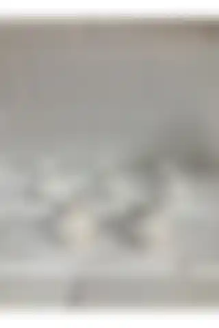Genel Markalar 5 Adet Minik Vazo ile Modern ve Fonksiyonel Dekorasyon