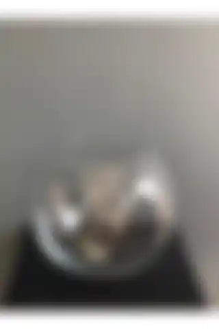 KALİTELİ ÇİÇEK Akvaryum Cam Fanusu ile Estetik Bir Atmosfer Yaratın