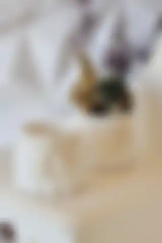 SERENGETİ HOME Dekoratif Beyaz Vazo Seti ile Evinize Şıklık Katın