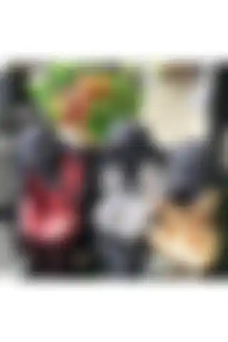 Cosargroup Hint Arap Bebek Görmedim, Duymadım, Bilmiyorum 3’lü Biblo Seti