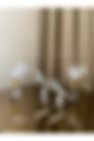 Housess Dekoratif Kuş ve Tüylük Seti ile Modern Mekânlar Yaratın
