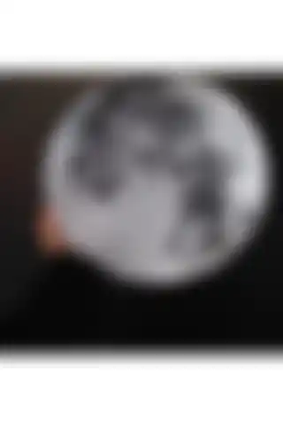 Planet Butik Full Moon Ahşap Dekor ile Estetik ve Dayanıklılığın Buluşması