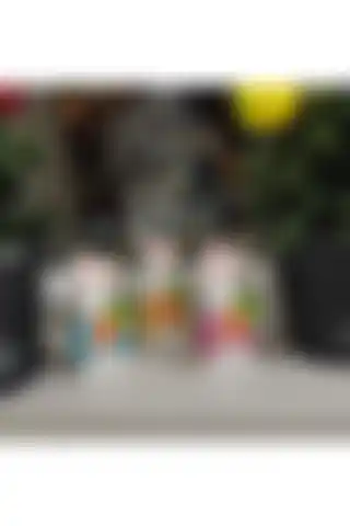 ASYAS HOME 3'lü Havuçlu Tavşan Biblo ile Estetik ve Şans