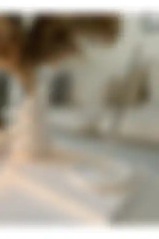 Modern Tasarımıyla Genel Markalar Twist Vazo Seti Hakkında Bilgi