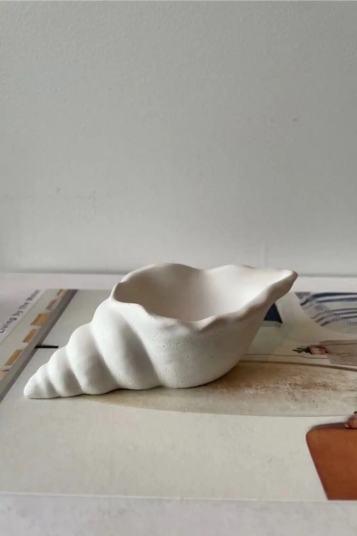 SOOA Deniz Kabuğu Görünümlü Dekoratif Mumluk ile Modern Dekorasyon