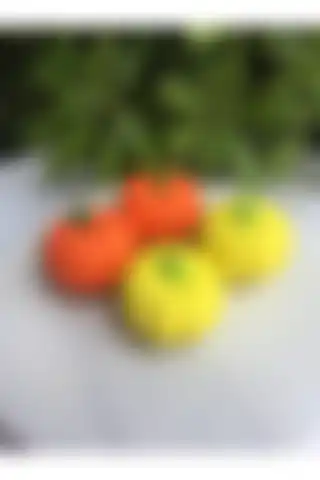 El Yapımı Dekoratif Kabak ile Evinizi Aydınlatın ve Süsleyin