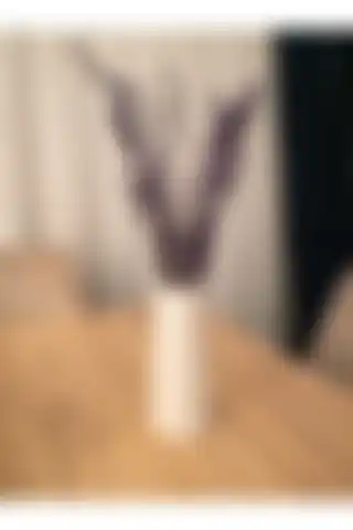 Özel Tasarım Beyaz Vazo ile Evinizde Şıklığı ve Ferahlığı Yakalayın