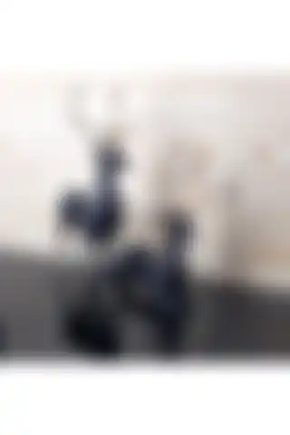 TEVFİK GÜNDAY DEKORASYON Gyk 2 Li Siyah Geyik Ürün Tanıtımı