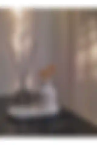 DNZ Dekoratif Mini Pampas Kuru Çiçek Vazosu ve Oda Kokusu Seti