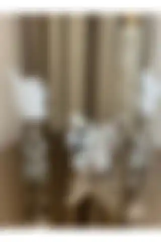 Housess Dekoratif Gümüş Kelebek ve Tüylük Biblo Seti İncelemesi
