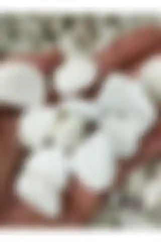 Lampello Beyaz Dolomit Taş: Estetik İç ve Dış Mekan Dekoru