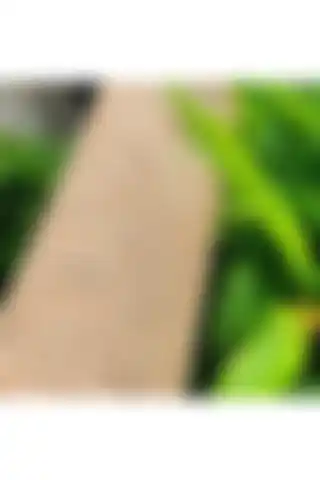 Lina Plastik Hazeran: Şıklık ve Fonksiyonellik Bir Arada