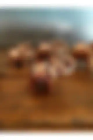 YörüK Tasarım 7'li Bereket Filleri Biblo: El İşçiliği ve Estetik