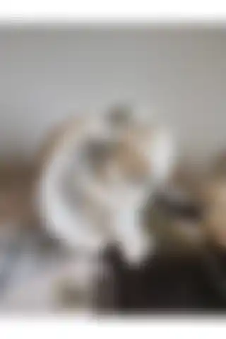 Ayhome Decoration Melek Biblo: Şıklığın ve Zarafetin Temsilcisi