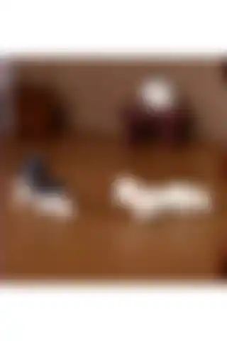 Himi Teraryum 2'li Kedi Saksı Süsü ile Evinizi Şenlendirin