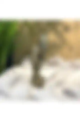 Kaktüsbutik Dekoratif Sarılan Çift Bağlılık Heykel ile Ev Dekorasyonunuzu Zenginleştirin