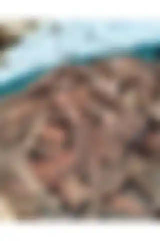 Peyzaj Tasarımında Kullanılan Genel Markalar Dekoratif Çam Kabuğu Ürünü