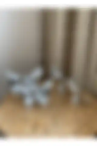 Housess 2'li Kuş Biblo ve Kelebek Dekorasyonu ile Estetik Bir Dokunuş