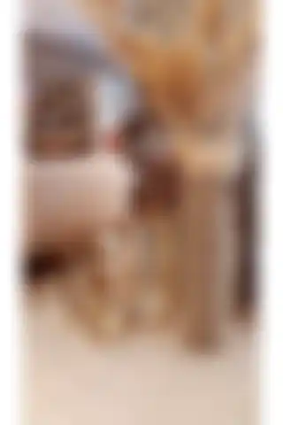 Ev Dekorasyonunda Dekopano ve Lui Tasarım Dekoratif Vazo Karşılaştırması