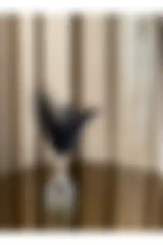 Housess Siyah Tüylü Gümüş Kristal Top Dekor Ürün Karşılaştırması