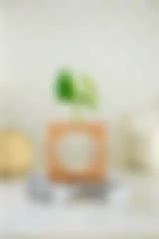 LALEZEN HOME Kare Ahşap Standlı Cam Mini Vazo Saksılık Tüp Vazo