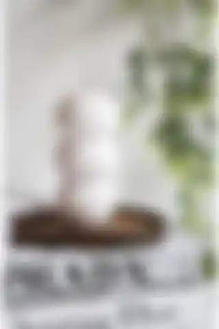 Lalezen Home Vazo Modelleri: Bohem 3 Bölmeli Boncuk Vazo ve Minimal Set