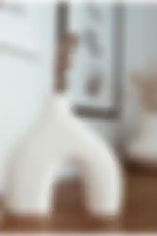 LİNECRAFT Minimal Vazo ve ogish İkili Set: Ev Dekorasyonu için Karşılaştırma Rehberi