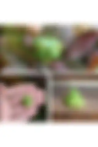 himi teraryum objeleri 3'lü Minik Kurbağa Teraryum Obje Minyatür Obje Teraryum Aksesuar Teraryum Süsü