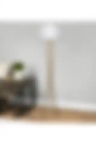 HOMİNG ve Taşcan Lambaderlerinin Özellikleri ve Karşılaştırması