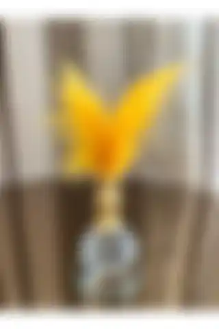 Housess Sarı ve Siyah Tüylü Gold Kristal Top Tüylük Biblo Süsleri Karşılaştırması