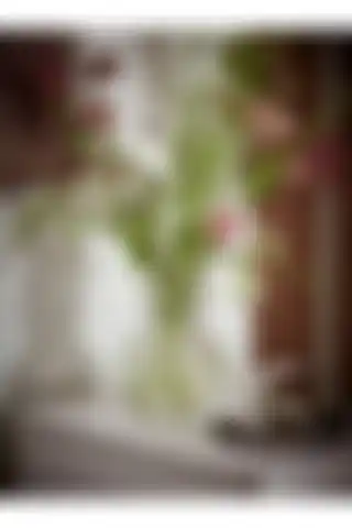 Amentes Dekoratif Vazo ile IKEA Dekoratif Cam Vazo Karşılaştırması Hakkında