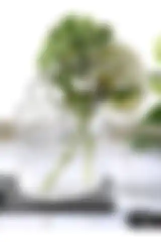 peony studio Dekoratif Çanta Şeklinde Cam Vazo Gb001-tr