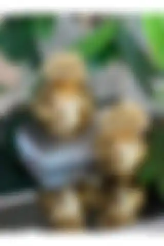 ArzzHome Dekoratif 2'li Mercan Kutu: Modern Tasarım ile Şıklık