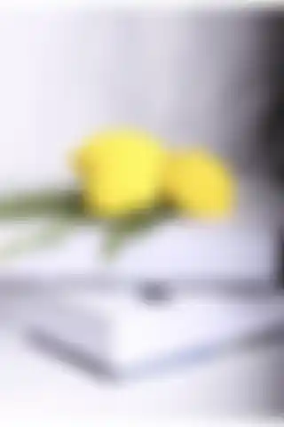 LALEZEN HOME Limon Dekor 3'lü Set: Estetik ve Fonksiyonel Ev Aksesuarı