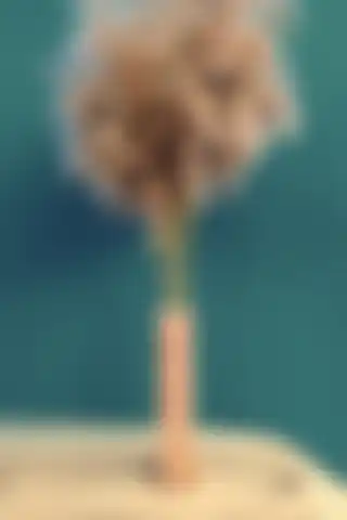 Alyones Özel Işlem Vazolu 2'li Set ile Şıklığı ve Doğallığı Yakalayın