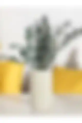 Beyaz Bubble Vazo ile Modern İç Mekanlarınıza Şıklık Katın
